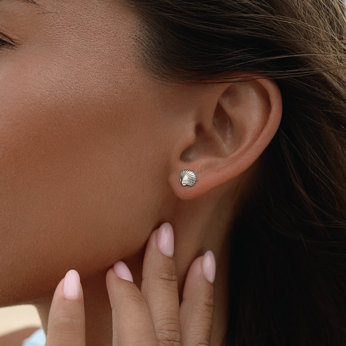 Silver Scallop Shell Stud Earrings