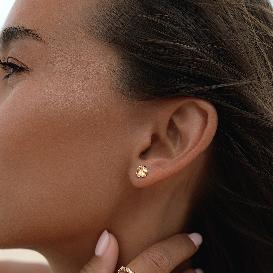 Gold Scallop Shell Stud Earrings