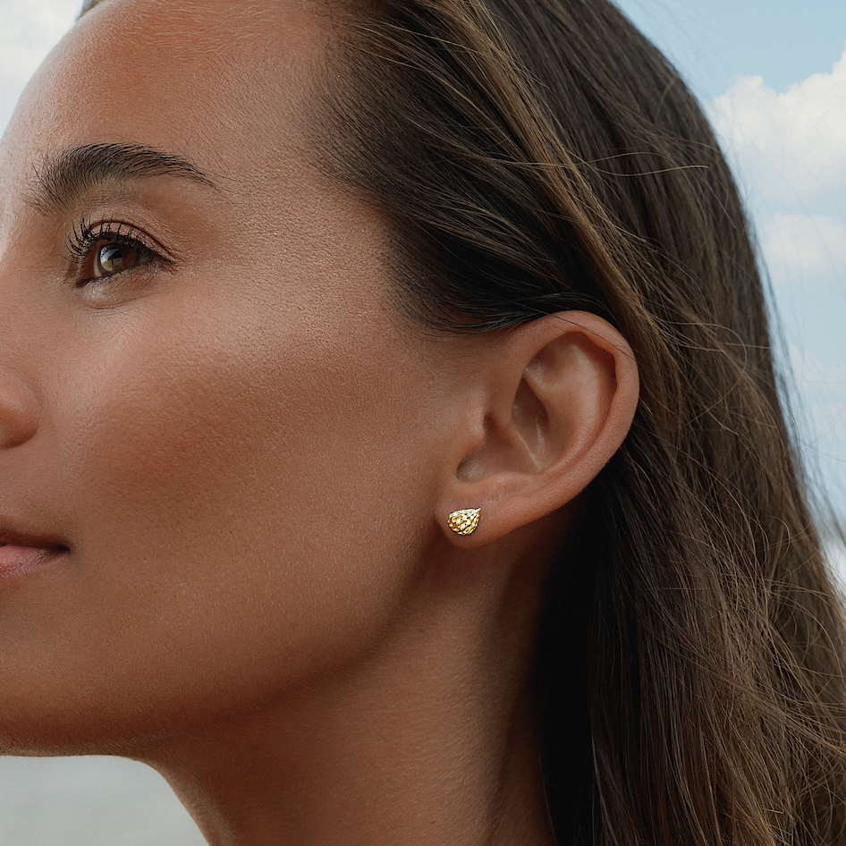 Gold Conch Shell Stud Earrings