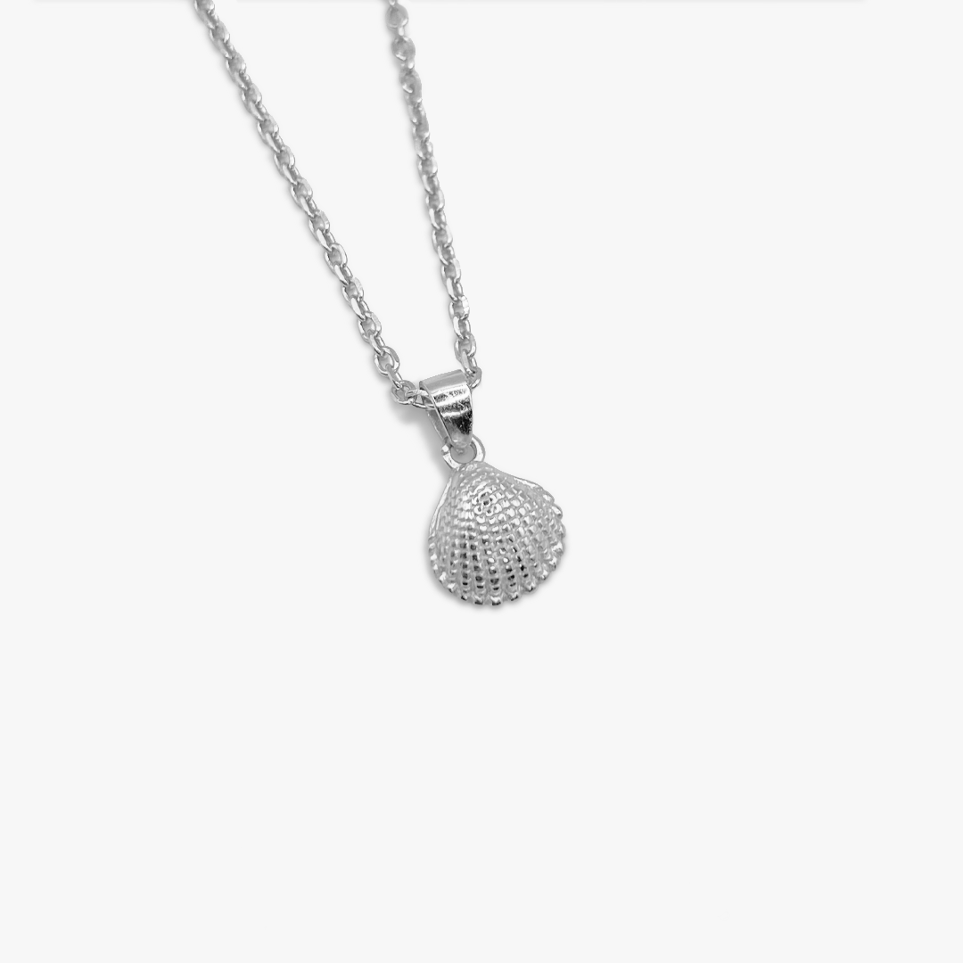 Tiny on sale shell necklace