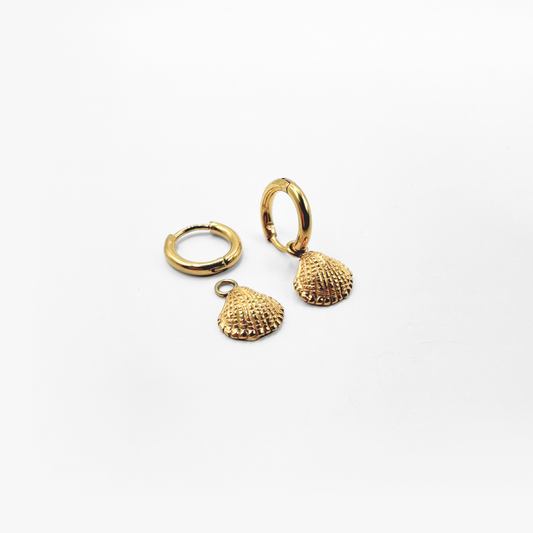 Shell Hoops - Gold Plating