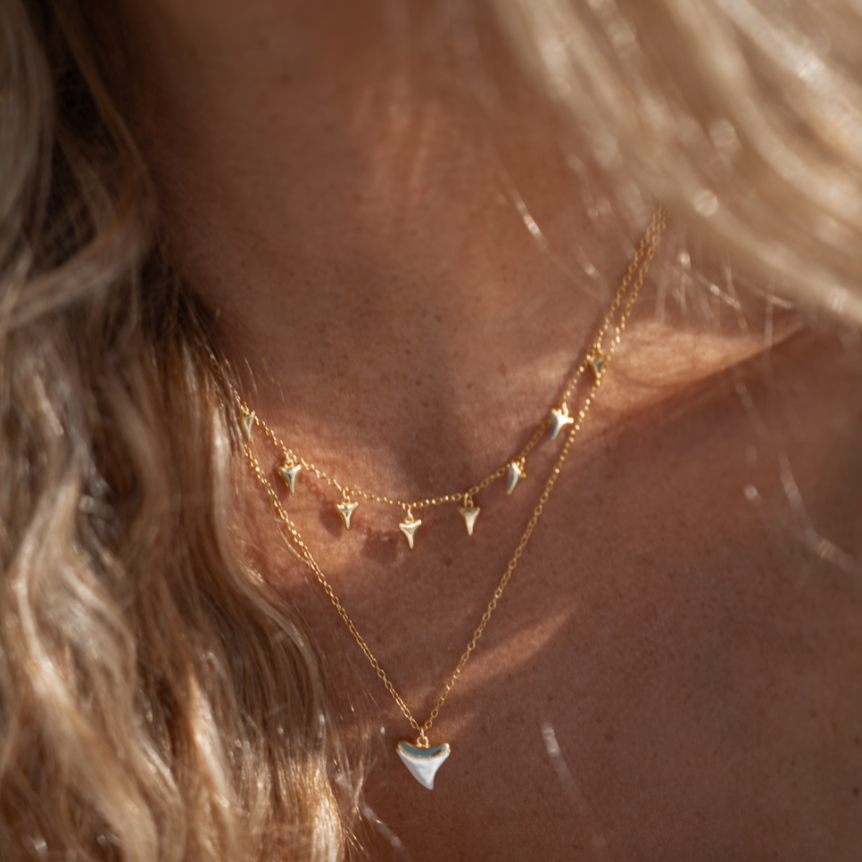 Gold Shark Tooth Charm Choker Necklace